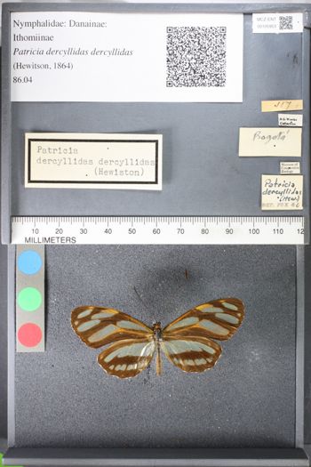 Media type: image;   Entomology 105953